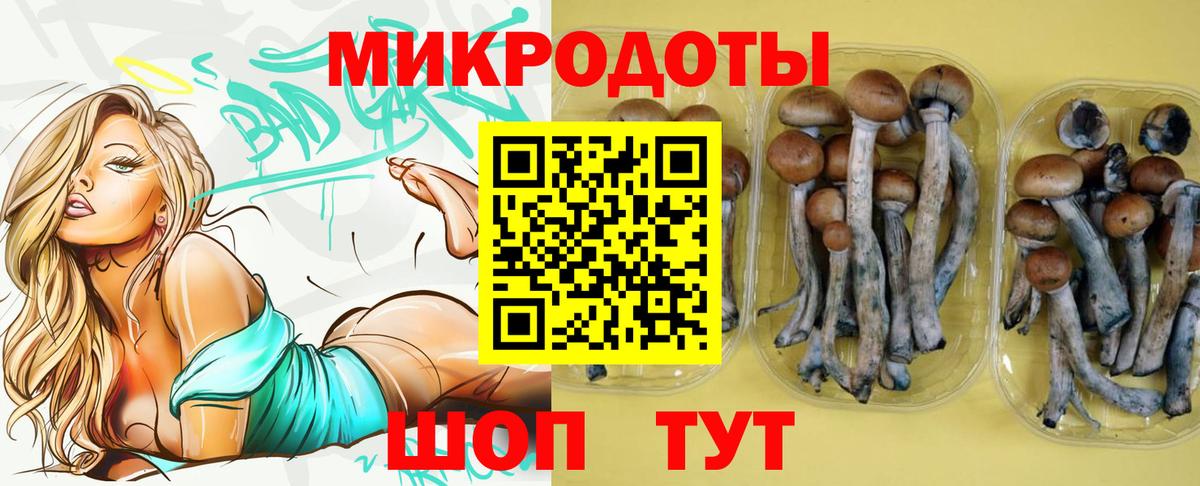 Галлюциногенные грибы мухоморы Мценск